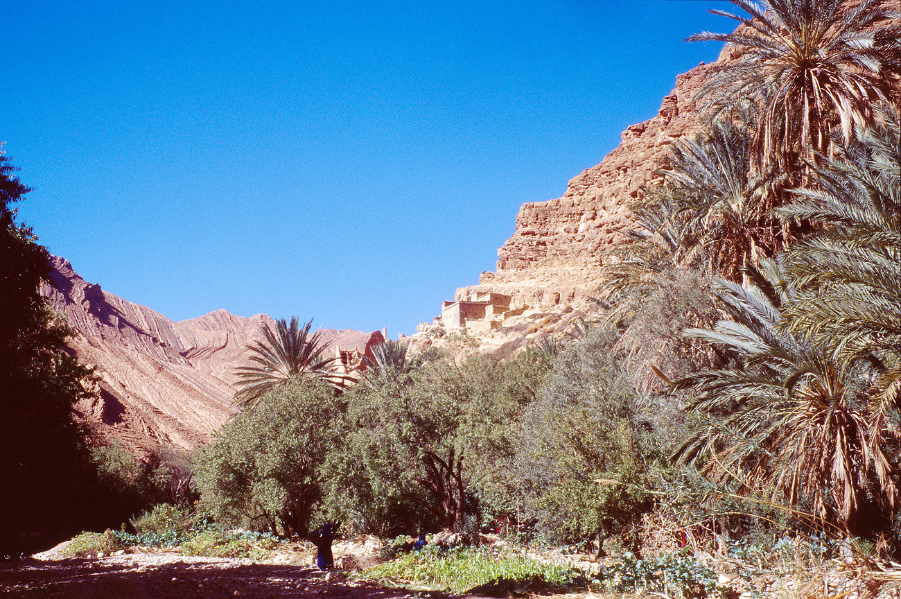 mar04_6_015al1018 zoom.jpg - Sud Ouest, octobre-novembre 2004 canyon des amandiers une kasbah, point de repère avant de quitter quelque temps le lit de l'oued Ektachrome 100 GX